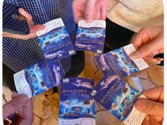 -珠海横琴长隆《卡卡虎奇遇记》