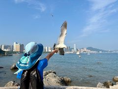 -黑石礁公园