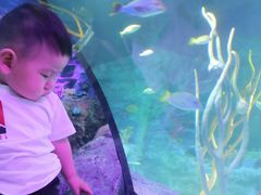 -沈阳海洋探索中心