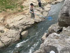 -羊山湖公园