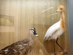 -下渚湖国家湿地公园科普馆