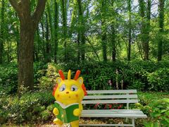 -上海共青森林公园