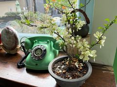 -芙蕾哥哥souffle
