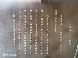 -肌理言健康美肌驻颜所