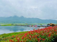 -腾冲北海湿地