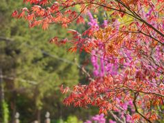 -九如山休闲旅游度假区