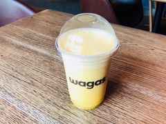 -Wagas沃歌斯(大学路店)