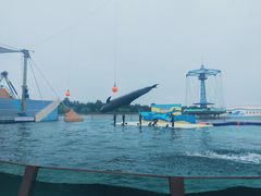 -秦皇岛乐岛海洋王国