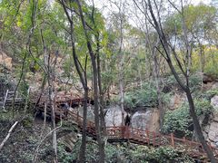 -大岭沟猕猴桃谷风景区