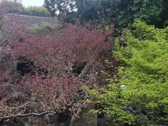 -东关历史文化旅游区-东门遗址