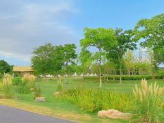 -上海长兴岛郊野公园