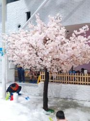 -Mr·Kuma酷么先生雪之乐园