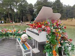 -铁山坪森林公园