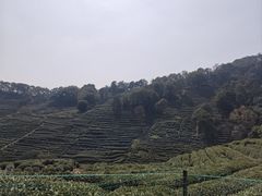 -十里琅珰