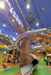 -卡通尼·Safari非洲探索乐园·生日会(金桥国际商业广场店)