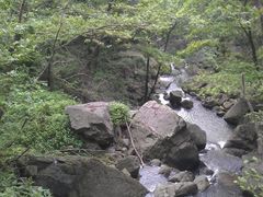 -溪口-滕头旅游景区