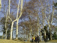 android_upload_pic-习家池