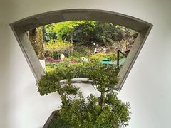 -十八棵（老龙井）御茶园(老龙井店)