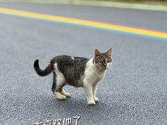 -宝界山林公园