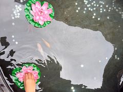 -丽江千古情