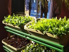 -大匠工房古船木艺术餐厅·猪肚鸡专门店(长白仙岛店)