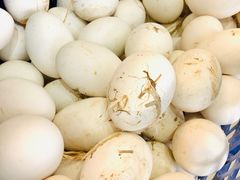 -新东新.融合菜