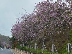-小南山公园