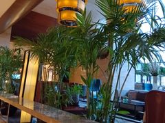 -亮马河饭店翠雅咖啡厅