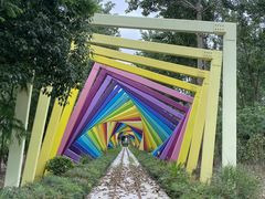 -合肥滨湖国家森林公园