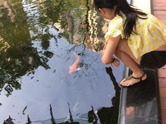 -香港大学
