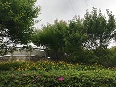 -重庆彩云湖湿地公园