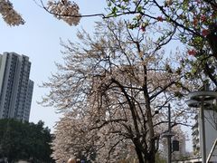 -红星桥(地铁站)