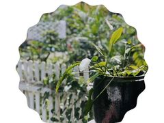 -天然居(伦教店)