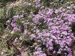 -山东省千佛山医院