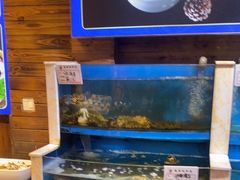 -船泊丽港(统一路店)