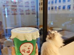-有喵·猫咖·狗咖·30几只猫10只小狗(岗厦店)