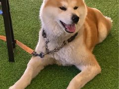 -老外街