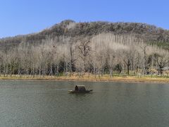 -千年银杏谷文化旅游区