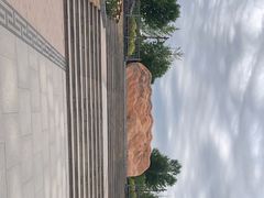 -南海子公园