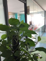 -清清博视儿童眼视光中心(角门西店)