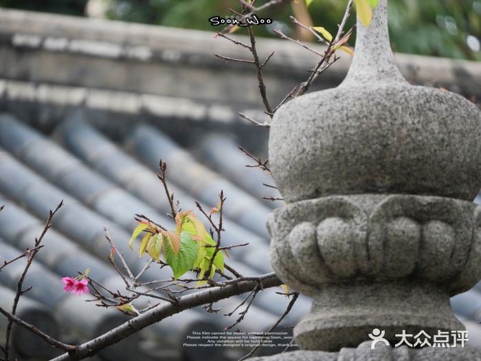 光孝寺图片