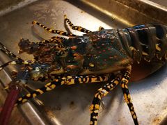 -青石桥市场北1-27号