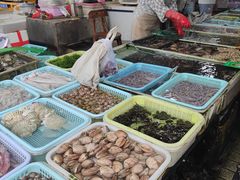 -南沙十九涌渔人码头-南门