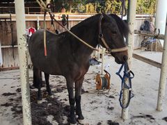 -金庭庄园酒店-停车场