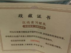 -阿五黄河大鲤鱼(英协路店)