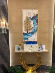 -雅曼妮spa美容养生