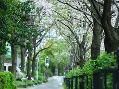-永乐路-路侧停车场