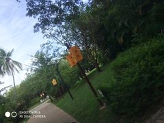 -三亚珠江南田温泉度假区