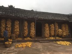 -舒家湾天主教堂