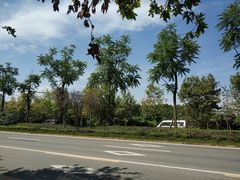 -三圣花乡旅游区